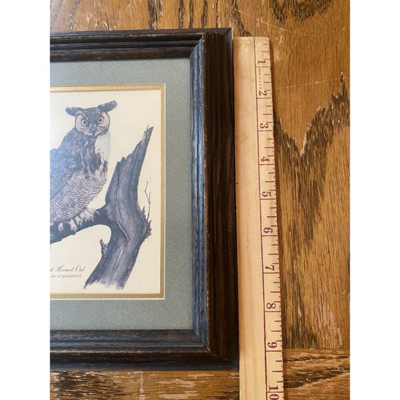 Vintage Framed Great Horned Owl Print By Gene Gray 1989 - Picture 6 of 7